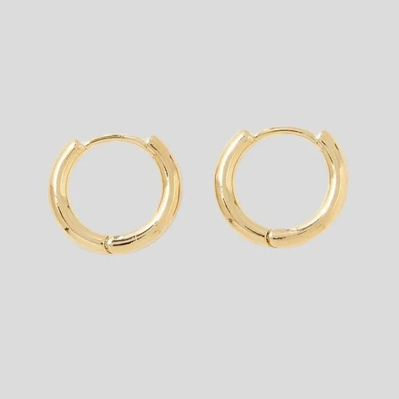 NWT - AE ‘Keepers Collection’ Gold-Plated Stainless-Steel Hoop Earrings (OneSize)